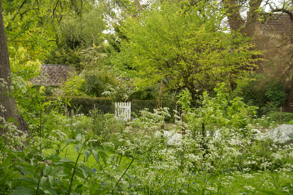 Looking from the wood towards the vegetable garden