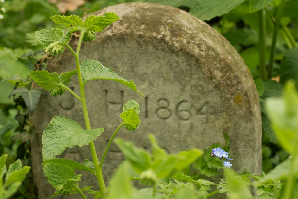 Another gravestone in the wood